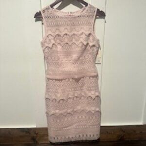 Alex Marie Pink Lace Sleeveless Dress